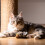 Melody Chaser, peluche interattivo per cani e gatti (uccellino) 4