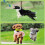 Puppy Chew Toy Rope Interactive 1 Pack 3