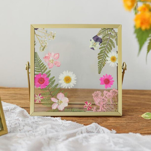 LingStar double glass pressed flower frame 6 inch 1