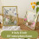 LingStar double glass pressed flower frame 6 inch 3