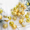 Christmas balls blue 6 cm 9 pieces 5