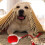 Smart Rolling Pet Ball for Cats and Dogs 1 Pack 5