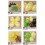 Latex balloon set confetti balloons 152 pcs 6