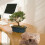 Artificial Landscape Rocks Foam Boulder Covers Natural 2