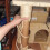 DIY 猫抓绳 1根 7