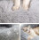 Cat and Dog Bed Black Sleeping Spot 4