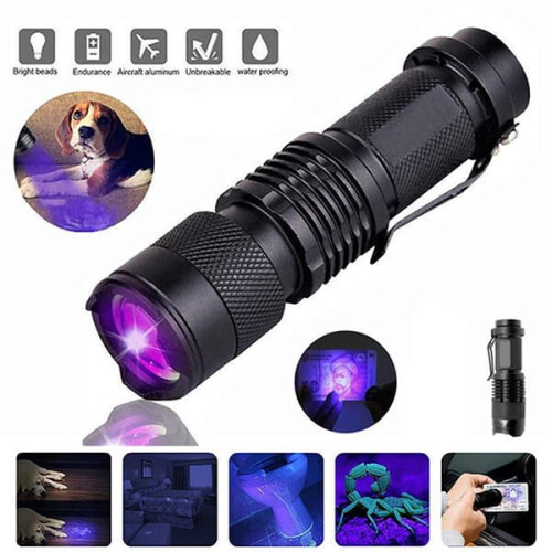 Mini UV flashlight LED ultraviolet lamp 1