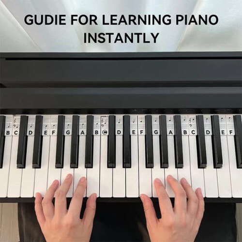 Piano Keyboard Labels Removable 61-Key Multicolor 2
