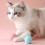 Cat Toy Moving Ball Pink 1 Piece 3