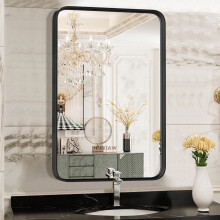 Bathroom Mirror Rectangular Metal Frame 30x22 Inch Black