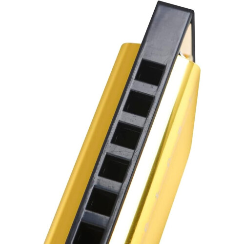 Blues Harmonica in C Key 10 Holes Rose Red 2