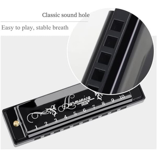 Blues Harmonica in C Key 10 Holes 20 Tones Rose Red 2