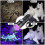 UV Flashlight 395nm USB Rechargeable Black 5