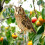Scarecrow with owl and bells A6 3