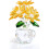 Kristallrosa Gänseblümchen-Figur, Glasbriefbeschwerer mit 5 7
