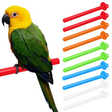 Plastic Bird Stand for Parrots and Parakeets 10-Pack