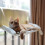 Hanging Cat Bed Iron Frame White Lambswool 1pc 5