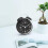 Analog Alarm Clock 4 Inch Dual Time with Night Light 6