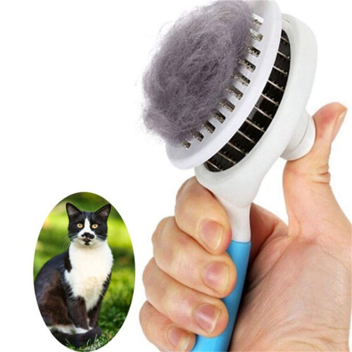 Escova autolimpante para cães e gatos, pacote com 1 unidade. 1