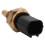 2PCS Engine Water Coolant Temperature Sensor Temp Sensor for   Accord  37870-Plc-004 37870-Raa-A01 6