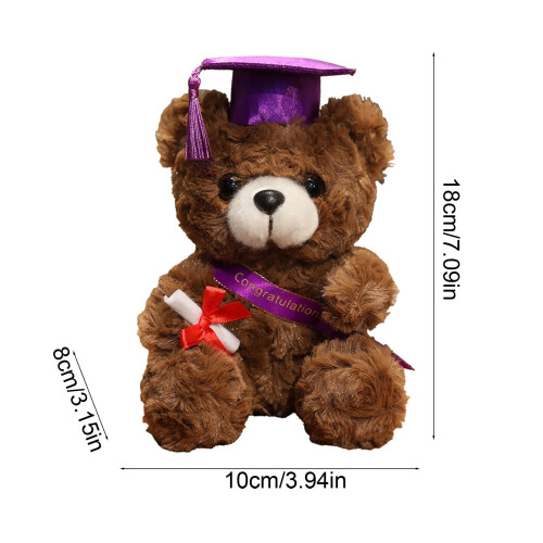 Graduation Cap Doll and Bear Plush 7.1 inch 2