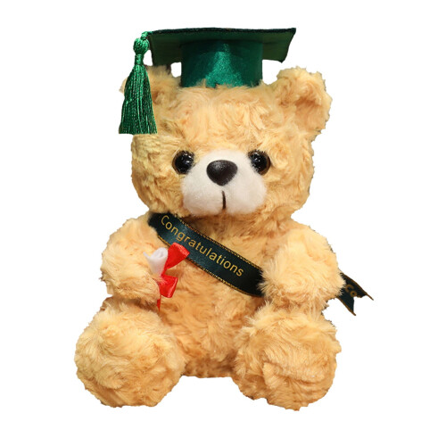 Abschluss-Teddybär-Plüschpuppe, 18 cm, Grün 1