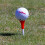 Gummiplugger 80 mm 10-pakning 2