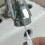 Shower Head Cleaning Brush White 10-Pack 5