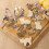 Stainless Steel Cat Cookie Mold Set 5