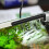 Aquarium Internal Filter with Adjustable Flow Rate 20W for 2
