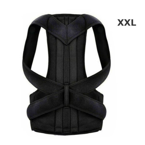 Backrest Holder XXL 1 Piece 1