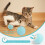 Interactive LED Cat Ball with 360 Rotation USB Powered 3
