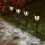 Luci solari decorative da esterno marroni, confezione da 10 5