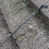 Foldable Walking Stick Portable 5-Section 7