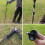 Foldable Walking Stick Portable 5-Section 8