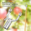 Kit de support pour branches d'arbre fruitier (1 ensemble) 5
