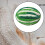 Wool Yarn Bulky Green White 100g 7