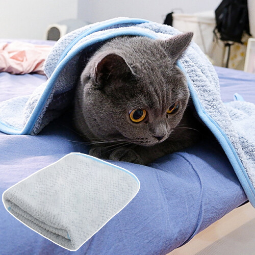 Dog Towel Extra Large Super Absorbent Microfiber 1 Pack 2