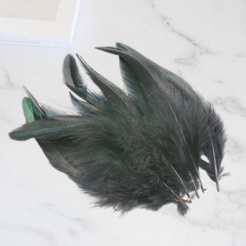 Black Chicken Feathers for Crafts 50 Pieces 1