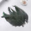 Black Chicken Feathers for Crafts 50 Pieces 4