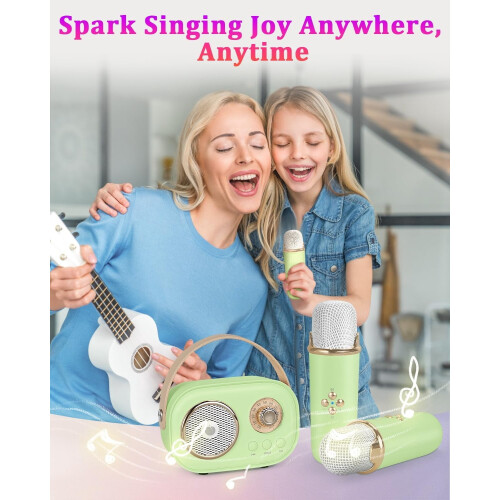 Mini Karaoke Machine Portable Bluetooth Speaker with 2 1
