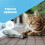 Floppy Fish Cat Toy USB Rechargeable 1 Pack 3