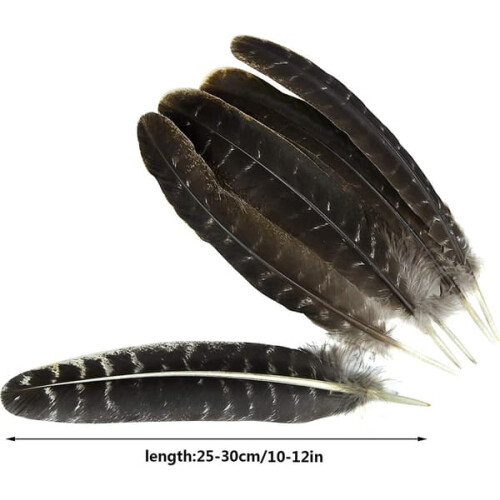 Turkey Feathers Natural 21pcs for DIY Crafts 1