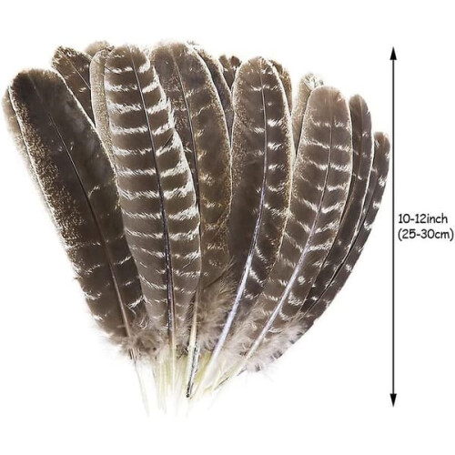 Turkey Feathers Natural 17 pcs 10-12 inch 1