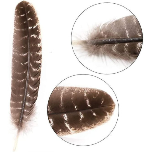 Turkey Feathers Natural 17 pcs 10-12 inch 2
