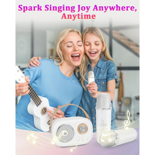 Mini Karaoke Machine Portable Bluetooth Speaker with 2 1
