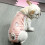 Couches lavables pour chienne, culottes en coton, taille XL 3