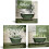 Green Botanical Leaf Wall Art Canvas Prints 3 pcs 12x12 in 1