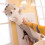 Coussin pour chat en peluche douce et longue (50 cm) 2