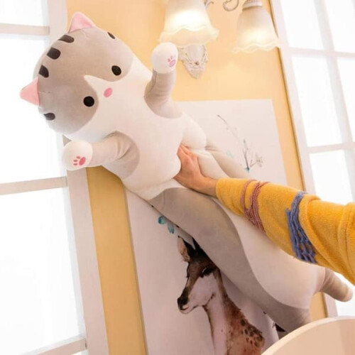 Coussin pour chat en peluche douce et longue (50 cm) 1